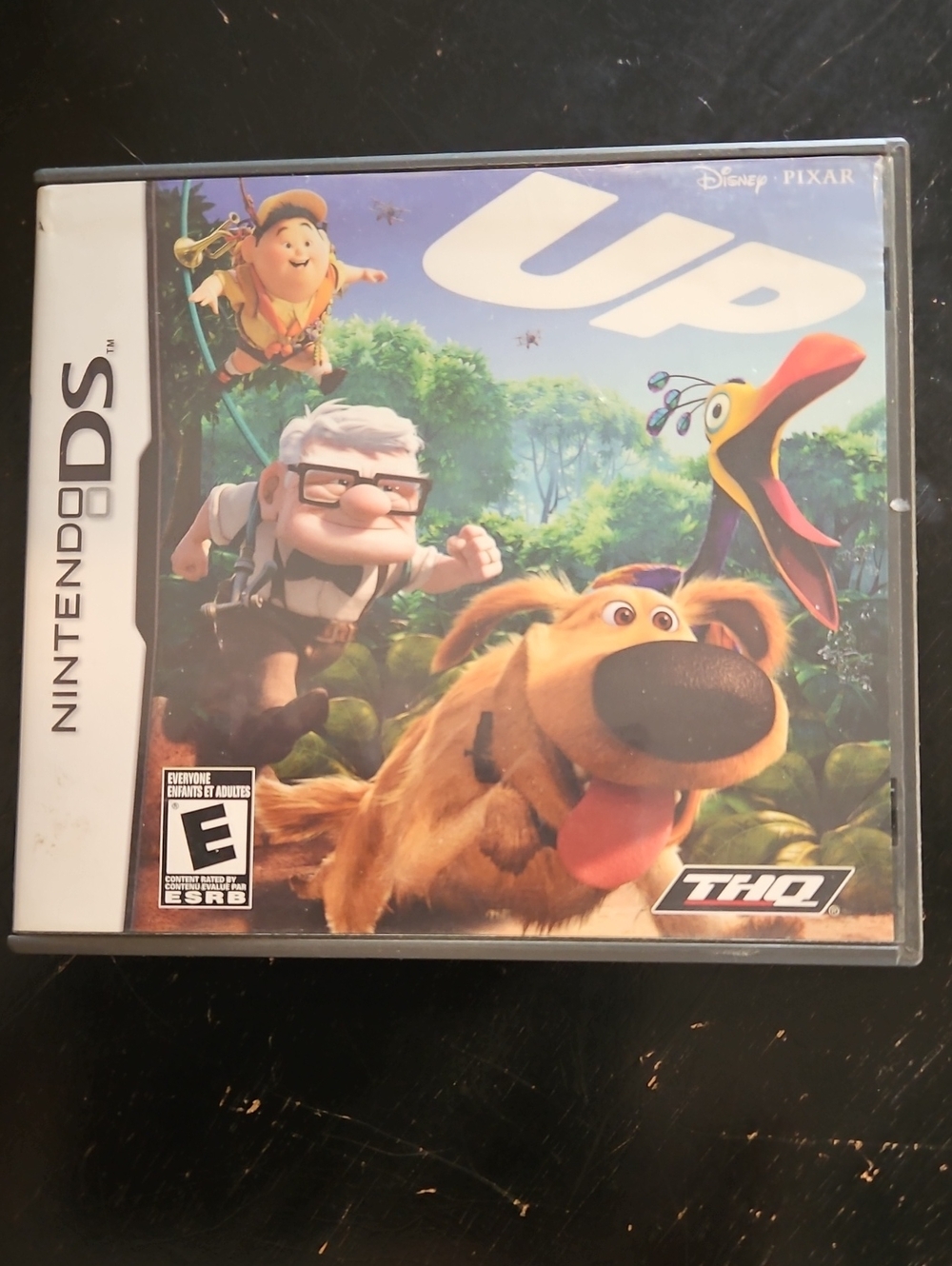 Nintendo DS Up (Disney Pixar) Video Game